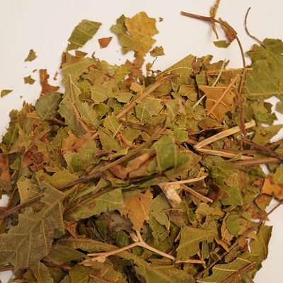 CEVİZ YAPRAĞI 50 GR - 3