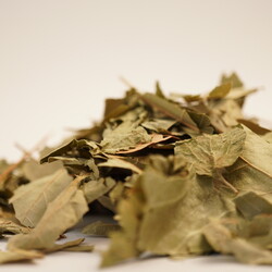 ÇINAR YAPRAĞI 30 GR - 2