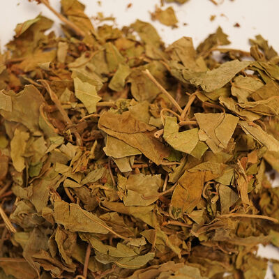 CİNNEMA 50 GR - 3