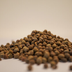 DOĞAL BAMYA TOHUMU 160 GR - 3