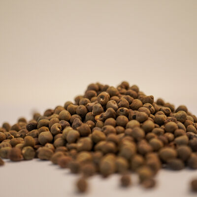 DOĞAL BAMYA TOHUMU 160 GR - 3