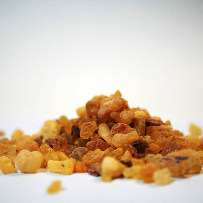 GÜNLÜK (SIĞLA) SAKIZI 160 GR - 3