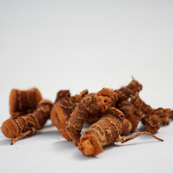HAVLICAN KÖK 100 GR - 3
