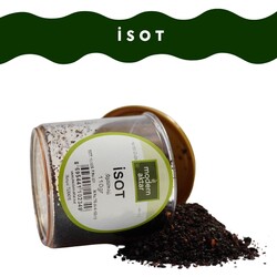 İSOT 110 GR