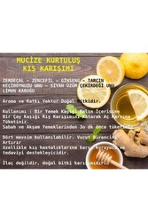 DOĞAL KIŞ KARIŞIMI 100 GR - 2