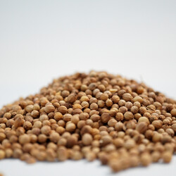 KİŞNİŞ TANE 100 GR - 3