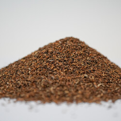 MAYDANOZ TOHUMU 160 GR - 3