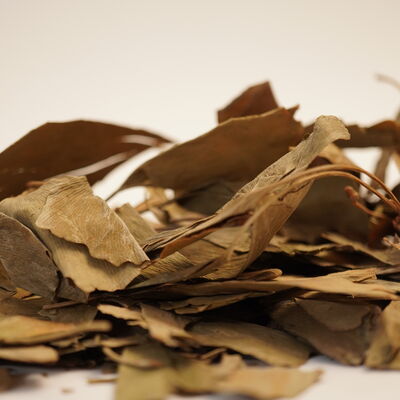 GINKGO BİLOBA  70 GR - 2