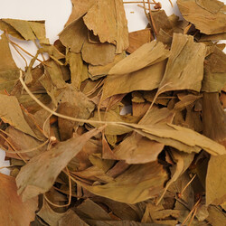 GINKGO BİLOBA  70 GR - 3