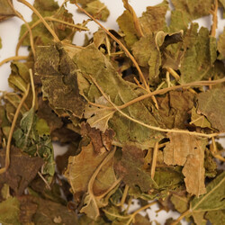KARADUT YAPRAĞI 40 GR - 2