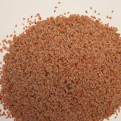 KARNIYARIK OTU (Öğütülmüş) 100 gr - 2