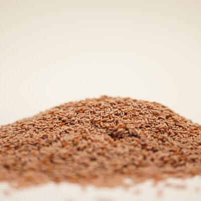KARNIYARIK OTU (Öğütülmüş) 100 gr - 3