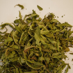 MELİSA (Limon Melisa) 25 GR - 2