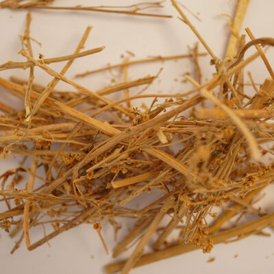 PELİN OTU 40 GR - 2