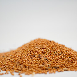 SARI HARDAL TANE 200 GR - 3