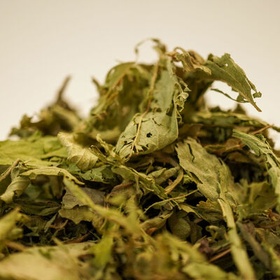 STEVİA YAPRAĞI (Şeker Otu) 50 GR - 3