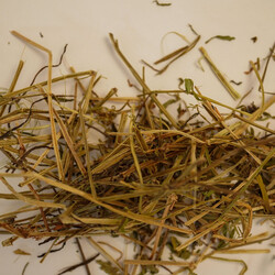 YOĞURT OTU 45 GR - 2